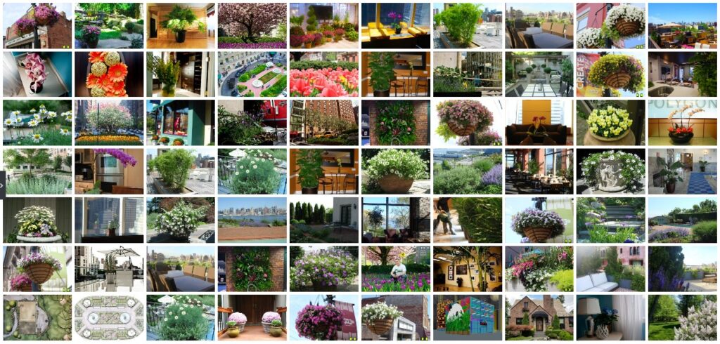 Image gallery image