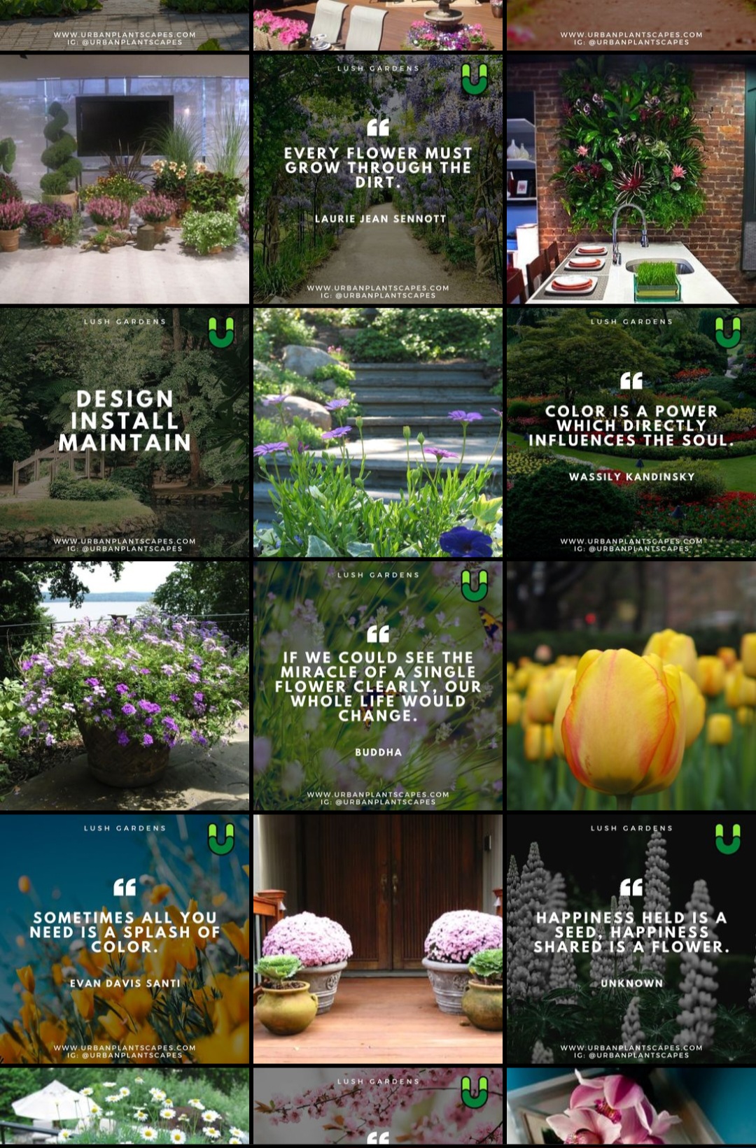 Image gallery image