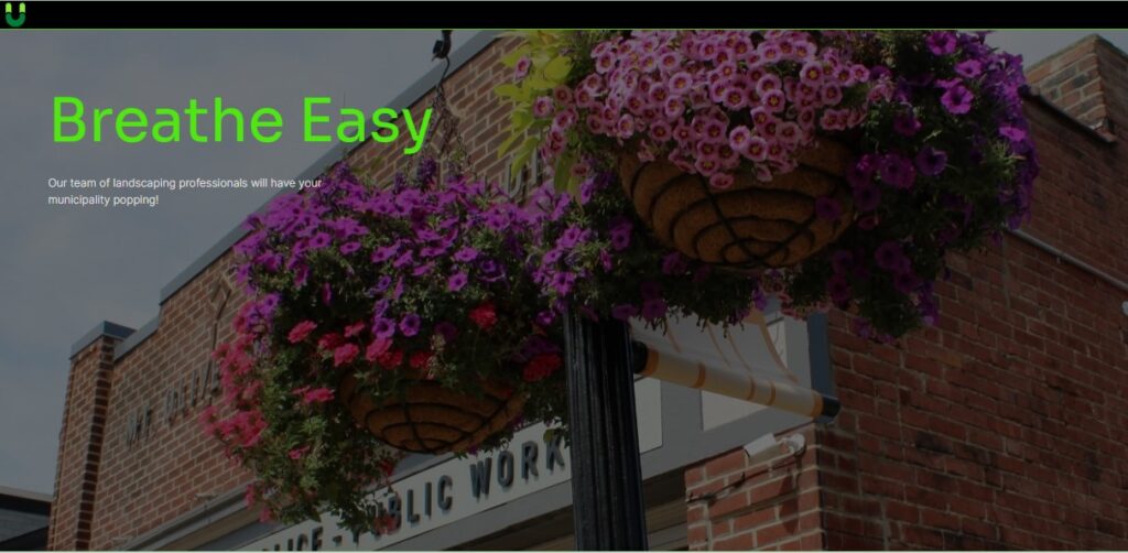 Image gallery image